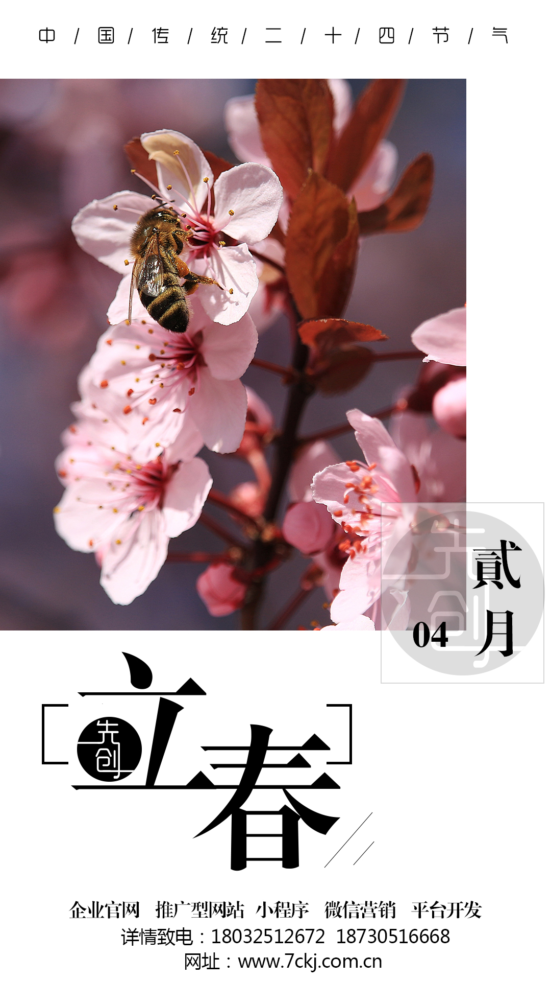 唐山網(wǎng)站優(yōu)化